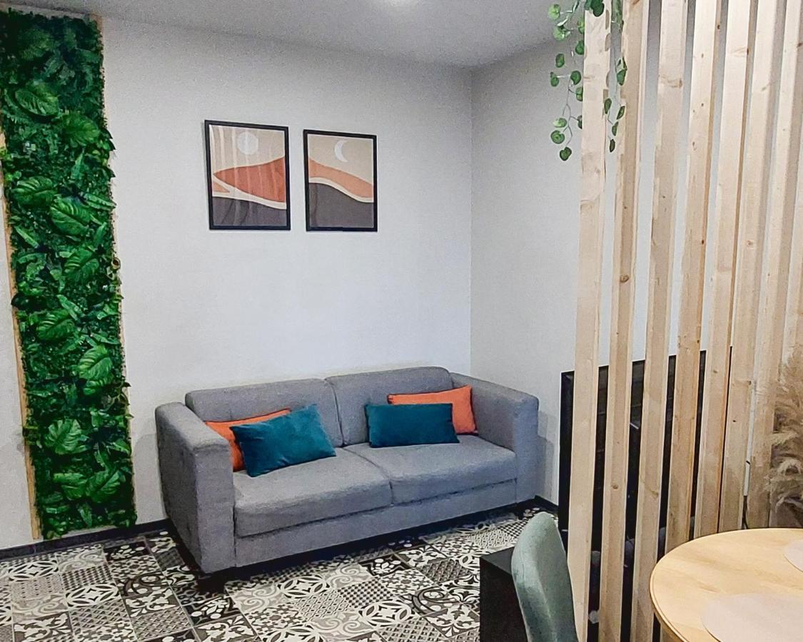 Artgrey * Ideal Pro * Roanne Secteur Gare Et Rue Pietonnes Εξωτερικό φωτογραφία